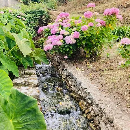 Ferienhaus Moinho Do Avo