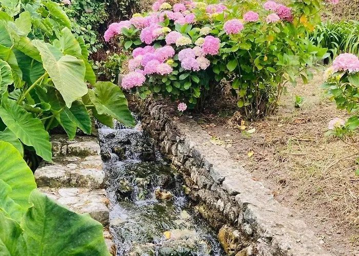 Casa de Férias Moinho Do Avô