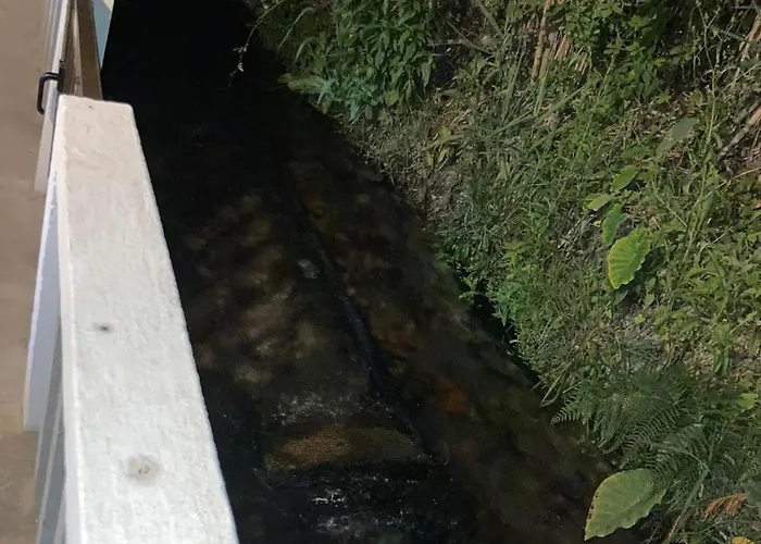 Moinho Do Avô Casa de Férias *