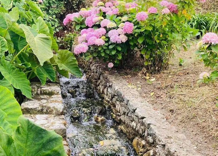 Moinho Do Avô * Pataias